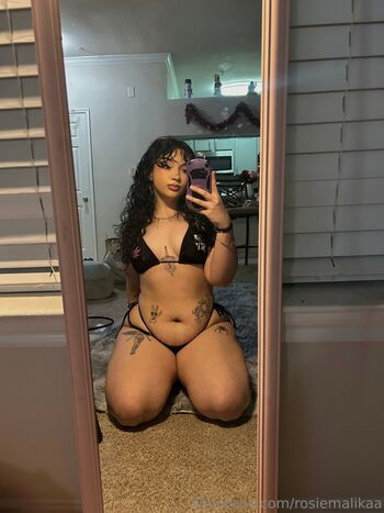 A_rosegs