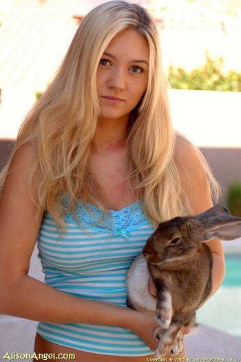 Alison Angel
