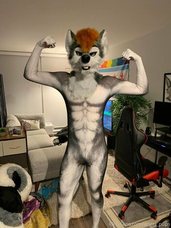 angel_pups