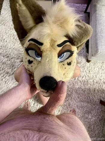 angel_pups