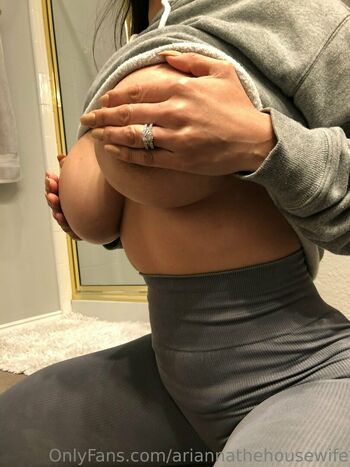 ariannathehousewife