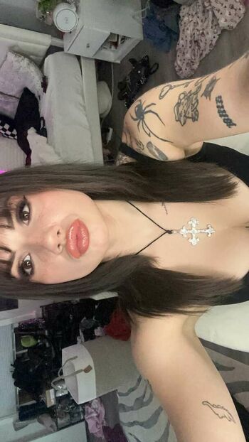 Baileyspinn