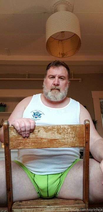 bearinheat