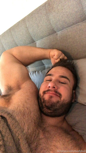 beefybull