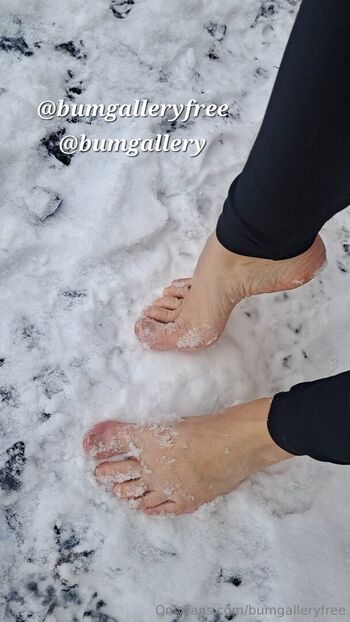 bumgalleryfree