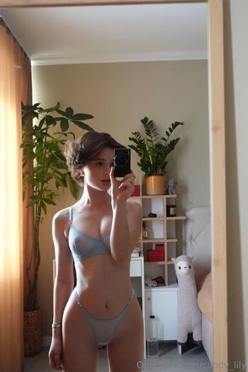 candy_lily