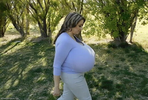 Chelsea Charms