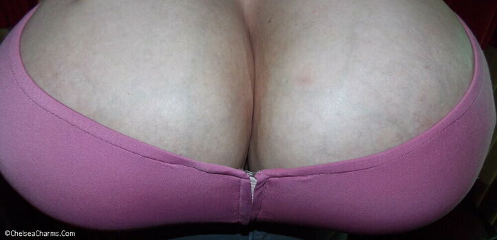 Chelsea Charms