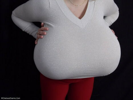 Chelsea Charms