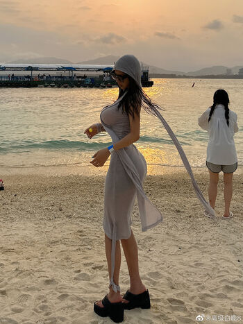 deer_white_