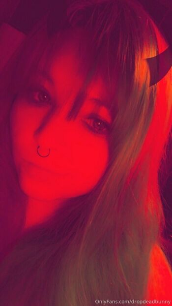 dropdeadbunny