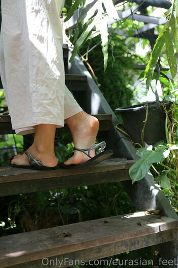 eurasian_feet