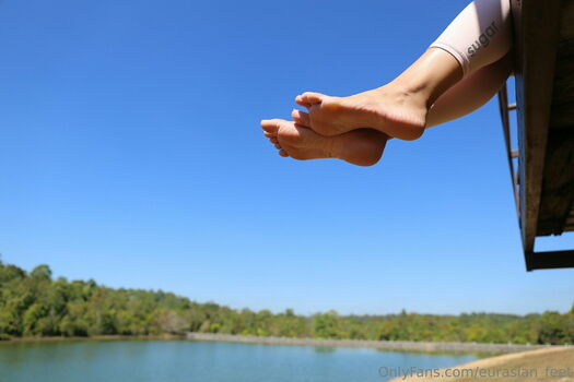 eurasian_feet