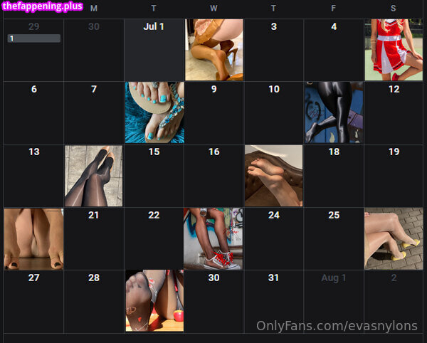 evasnylons