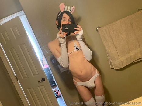 femboycherryblossom