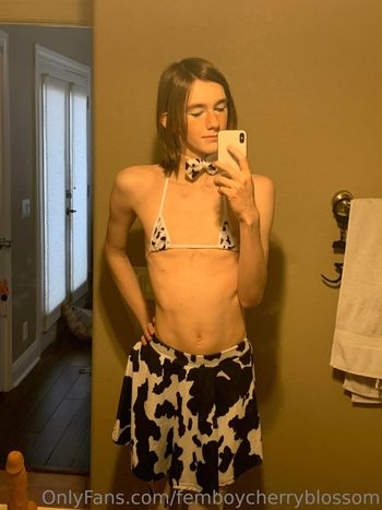 femboycherryblossom