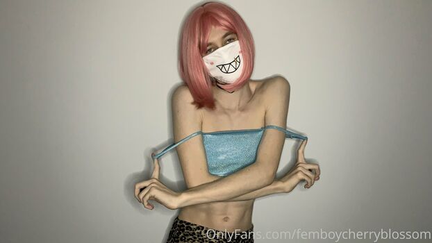 femboycherryblossom
