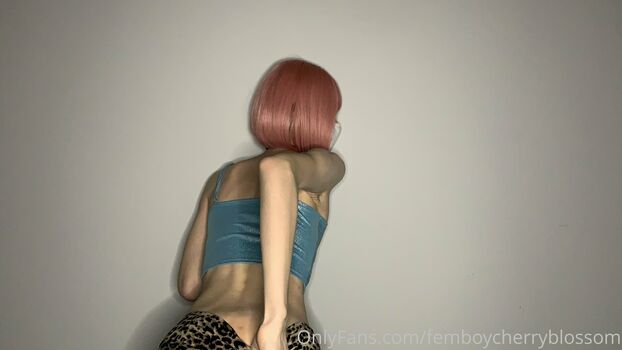 femboycherryblossom