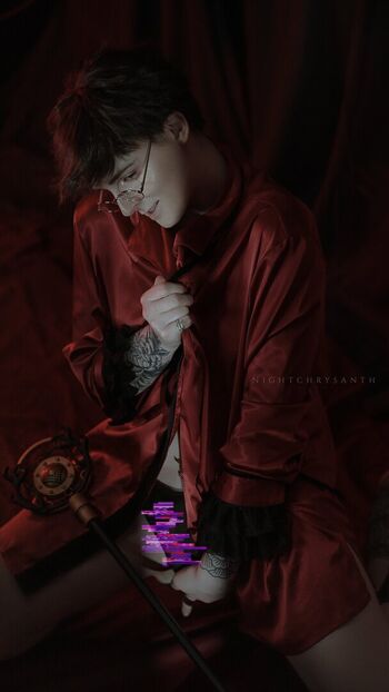 freenightchrysanth