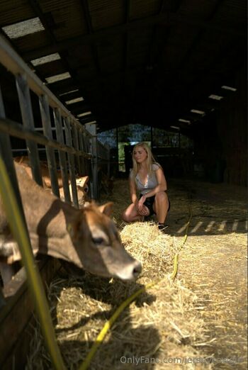 jerseycowgirl