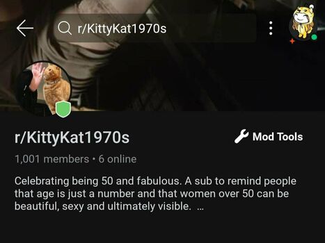 kittykat1970s