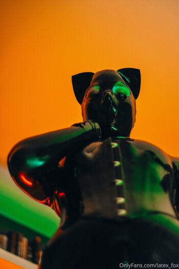 latex_fox