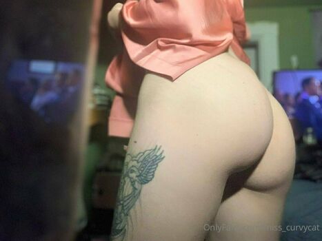miss_curvycat