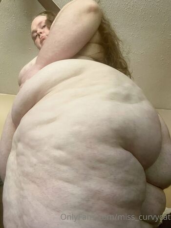 miss_curvycat