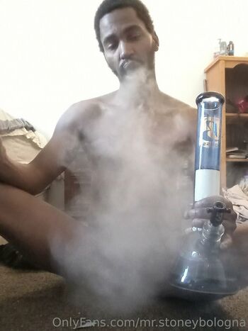 mr.stoneybologna