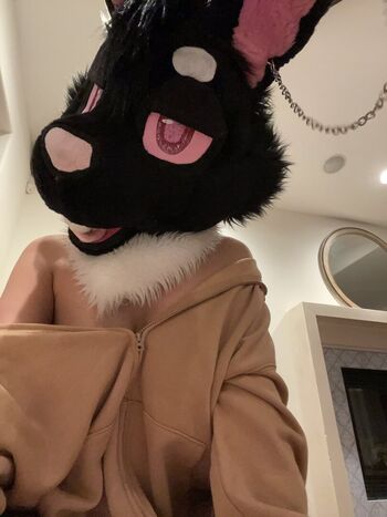 Murrsuit
