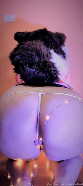 naughtycolliead