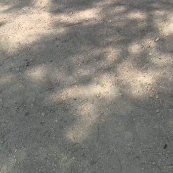 Nina_love1