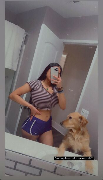 Noheli :