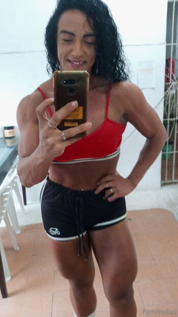 pamfreitas
