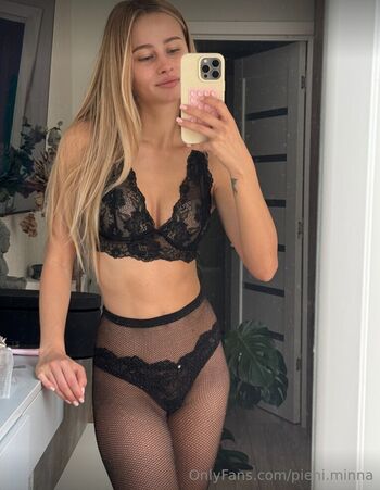 pieni.minna