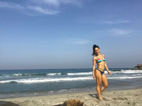 Pinche Ana Fit