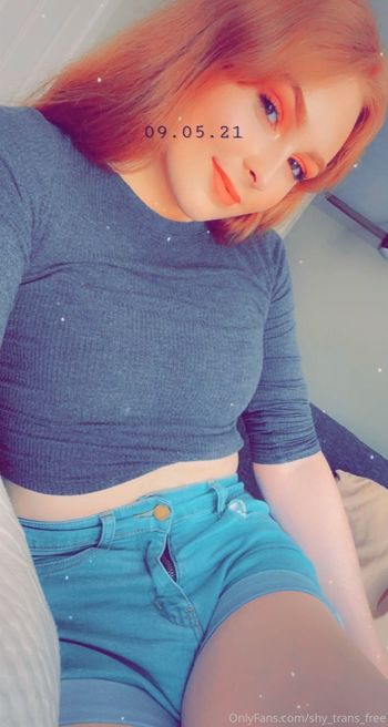 shy_trans_free