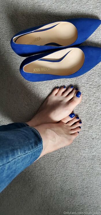 sloan_paws
