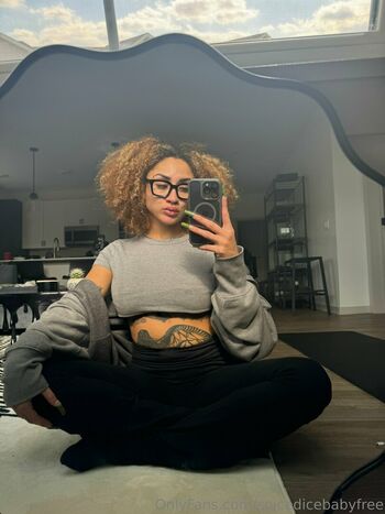 spicedicebabyfree
