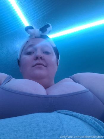 ssbbwdaisyfree