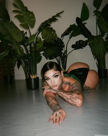 Taylor White