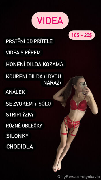 tynkavip