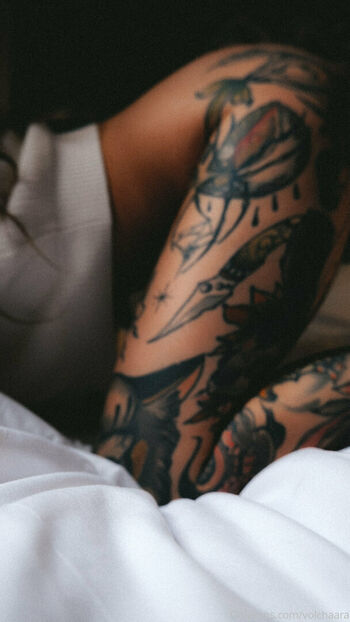 _volchara