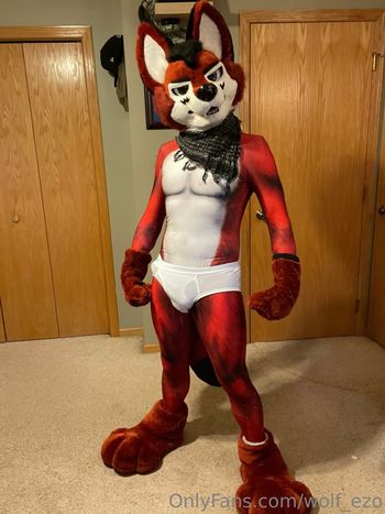 wolf_ezo