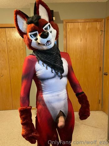wolf_ezo