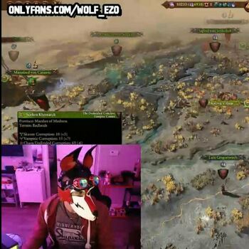 wolf_ezo